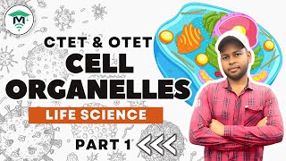 The Cell Organelles in Odia  Life Science  Part 1  OTET amp CTET [upl. by Acile]