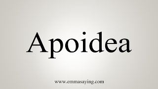 How To Say Apoidea [upl. by Candida]