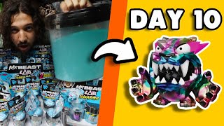 Unboxing MrBeast Lab Swarms Until I Find the Rare One Day 10 [upl. by Baylor181]