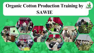 Project Staff Receives Organic Cotton Production Training from SAWIE Experts with OCA support [upl. by Hollerman223]