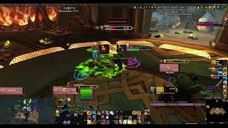 Retribution Paladin Mage Tower 915 Sigryn kill [upl. by Ellednek]