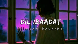 Dil Ibaadat SlowedReverb  Pritam amp KK  Tum Mile  Maya Vibes  Textaudio [upl. by Koby]