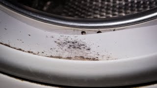 How to Clean your WASHING MACHINE Remove Front Load Stink NATURALLY  Andrea Jean [upl. by Adile218]