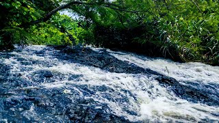 2 Hours of Waterfall Sounds  Natures Peaceful Flow [upl. by Honeyman]