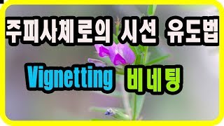 포토샵 초급 주피사체에게 시선을 유도하는 방법  비네팅 Vignetting [upl. by Tnomel359]