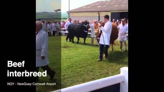 Royal Cornwall Show Highlights [upl. by Aerdna]