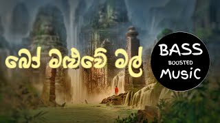 Bo Maluwe Mal  බෝ මළුවේ මල්  BaSS BooSted [upl. by Aicilehp318]