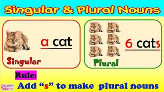 NOUN  Adding s to Regular Nouns  Singular and Plural Nouns  Liy Learns Tutorial [upl. by Arat]