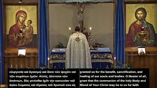 Royal Hours Of Epiphany amp Liturgy [upl. by Alhak890]