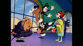 Animaniacs Hey Plotz Did you just blow in from stupid town [upl. by Llemrej901]