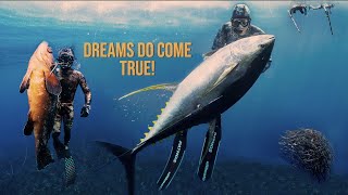 EPIC Spearfishing dreams come true  Canary islands 4k [upl. by Euphemie614]