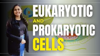 EUKARYOTIC and PROKARYOTIC Cells in hindi  eukaryotic prokaryoticcell [upl. by Nomyad]