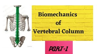 Spine anatomy kinetics kinematics in detail with notes and diagrams [upl. by Pippa]