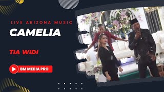 CAMELIA  TIA WIDI  ARIZONA  BM MEDIA PRO  SG AUDIO  LIVE TIWET [upl. by Aiak564]