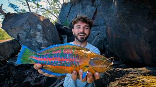 Ces gros poissons exotiques foncent sur mon appât vivant  Vlog PÊCHE 974 [upl. by Enois]