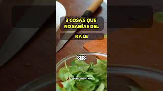 3 BENEFICIOS DE LA COL RIZADA KALE QUE TE SORPRENDERÁN estilodevida saludables kale [upl. by Navis984]