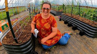 Lets Plant TOMATOES in the Greenhouse amp Take a Walk With the Goats [upl. by Hamilah643]