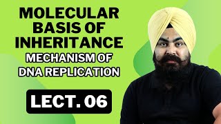 Molecular Basis of Inheritance  LECTURE 06  Complete NCERTBased Lecture  BIOLOGY ncert [upl. by Nayr]