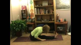 Yoga with Karen  Vinyasa Krama Practice [upl. by Valentijn]