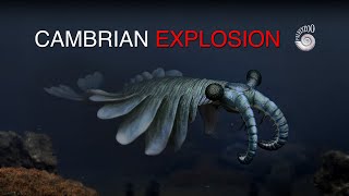 Cambrian Explosion of Animalia [upl. by Sonya]