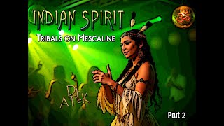 Dj ATeK  Indian Spirit ॐ Tribals on Mescaline 🎧02 [upl. by Ardnala]