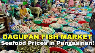 DAGUPAN FISH MARKET TOUR  Pangasinan’s Biggest Seafood Market Prices this August 2024  Philippines [upl. by Milford]