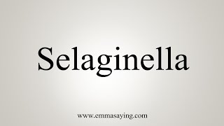 How To Say Selaginella [upl. by Ennovihc551]