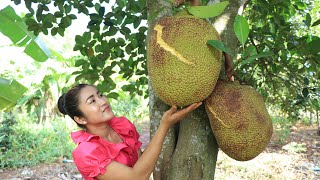 Pick Ripe Jackfruit From Jackfruit Tree  Ripe Jackfruit Recipe  Prepare By Countryside Life TV [upl. by Olympe301]