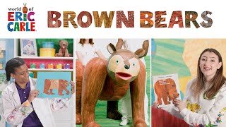 Brown Bear Brown Bear What Do You See Story  Brown Bear Puppet  Paper Bear Craft  ERIC CARLE [upl. by Evelc]