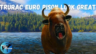 Hunting TruRAC European Bison For The First Time TheHunter Call Of The Wild [upl. by Darce313]