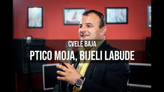 CVELE BAJA  Ptico moja bijeli labude Cover [upl. by Adnahsed]