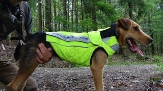 SCHUTZAUSRÜSTUNG FÜR JAGDHUNDE BSPLANET [upl. by Eutnoj]