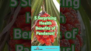 5 Surprising Health Benefits of Pandanus  carecrash [upl. by Yatnahc]