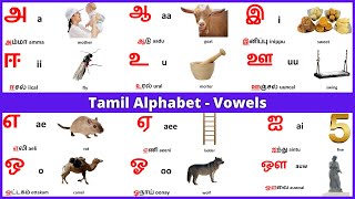 Tamil alphabets  Tamil Vowels  Learn Entry [upl. by Rector]