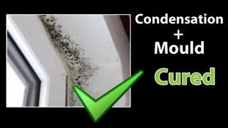 EASY  How to STOP CONDENSATION  Get Rid of Black Mold and Clean Mould [upl. by Chuch61]