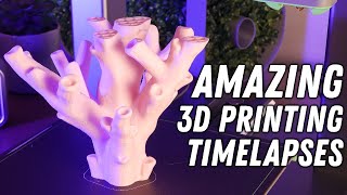 6 AMAZING 3D PRINTING TIMELAPSES  Made using the AnkerMake M5C 3D Printer [upl. by Ennaylime]