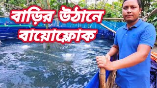 বাড়ির উঠানে বায়োফ্লোক পদ্ধতিতে মাছ চাষ। biofloc fish farming in bangladesh biofloc detail [upl. by Asillim3]