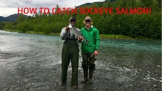 EASY WAY TO CATCH SOCKEYE SALMON  How to CATCH SOCKEYE SALMON on Alaskas Kenai River [upl. by Abehsile424]