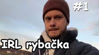 Starý s Dušanom na rybách  chat 🐟 IRL rybačka  1  26 10 2024  Astatoro [upl. by Horatius845]