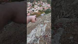 Trying to catch and release a partridge bird with a net village cyprus lebanon [upl. by Norek]