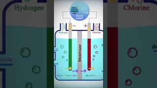 What is🤔 ChlorAlkali Process🤫Class 10th  Most Important💥 topic for board 2025 ytshorts [upl. by Natsirt113]