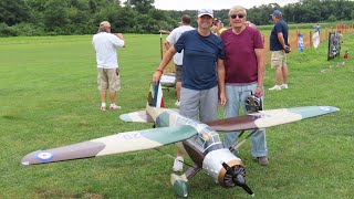 Phoenix Models Westland Lysander at Warbirds Over Delaware 2024 [upl. by Nwahsat]