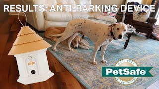 AntiDog Barking Device Results  Petsafe Elite Outdoor Bark Control Device [upl. by Marguerie]