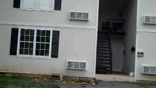 4 Plex For Sale 99000 Cash Knoxville Tennessee [upl. by Olnay]