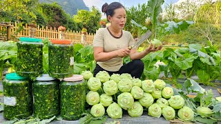 Harvest Vegetables to make pickles Kohlrabi grown at home to sell at the market  Trieu Mai Huong [upl. by Joelynn]