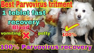 Parvovirus in dogs parvovirus symptoms parvovirus treatment at home parvovirus recovery signs [upl. by Erreip68]