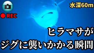 【水中映像】青物狙いでフォール中がいかに大事かよくわかる捕食シーン 釣り ジギング [upl. by Josephine]