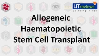 Allogeneic Haematopoietic Stem Cell Transplant [upl. by Erickson]