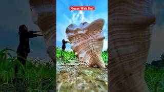 🔥Creative photography 💡📱 shorts 01ontrending creative youtubeshorts [upl. by Westmoreland]