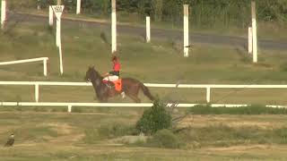 22022024 – Hipodromo Colonia – Carr 8 – SEMANA DE CARNAVAL [upl. by Almira]